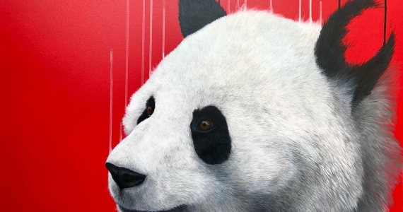 Pandering by Louise McNaught